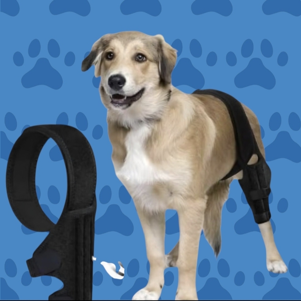 PAWFUN Dog Knee Brace for Torn ACL Adjustable Leg Support for Hip Dysplasia
